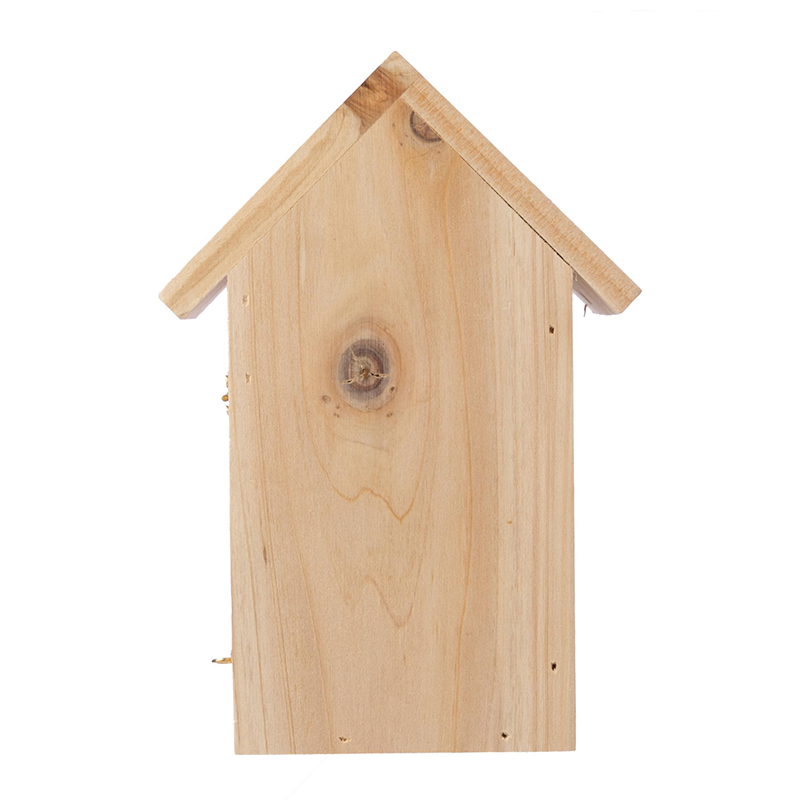 Schmetterlingshaus - Bild 3